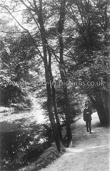 A View in Highams Park, Chingford, London. c.1908
